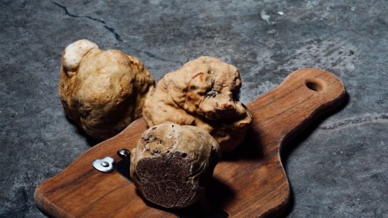w 0, tags: festival tartufo - unsplash