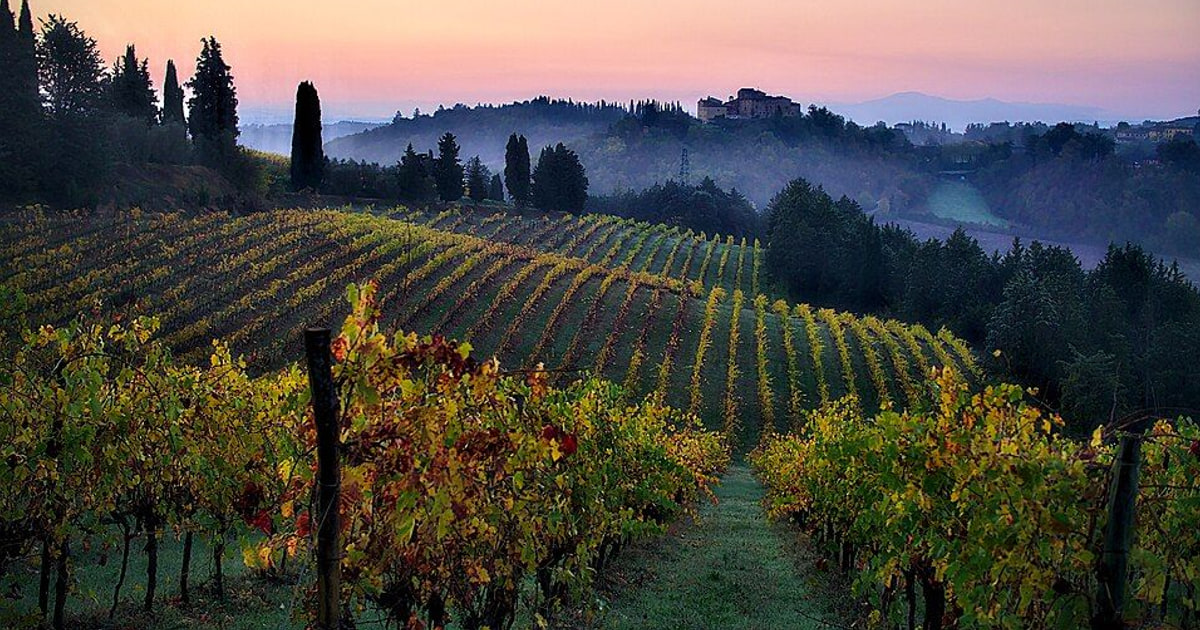 Abbracciare la campagna italiana: Uno sguardo più profondo al turismo rurale