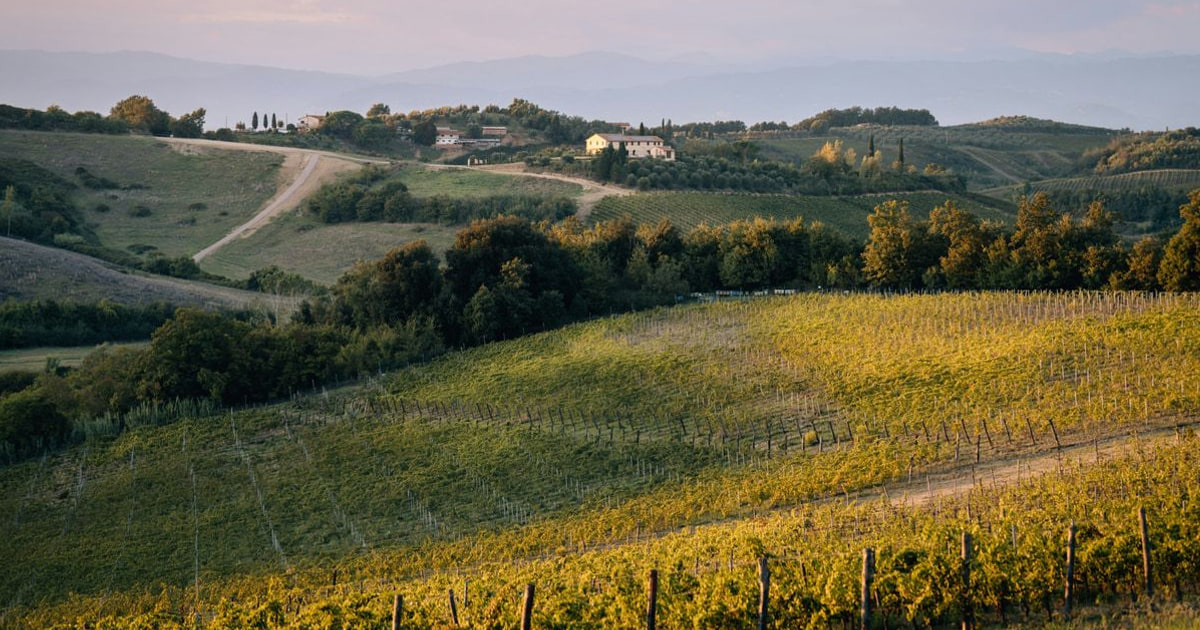 Vivere l'Italia rurale: Il fascino dell'agriturismo